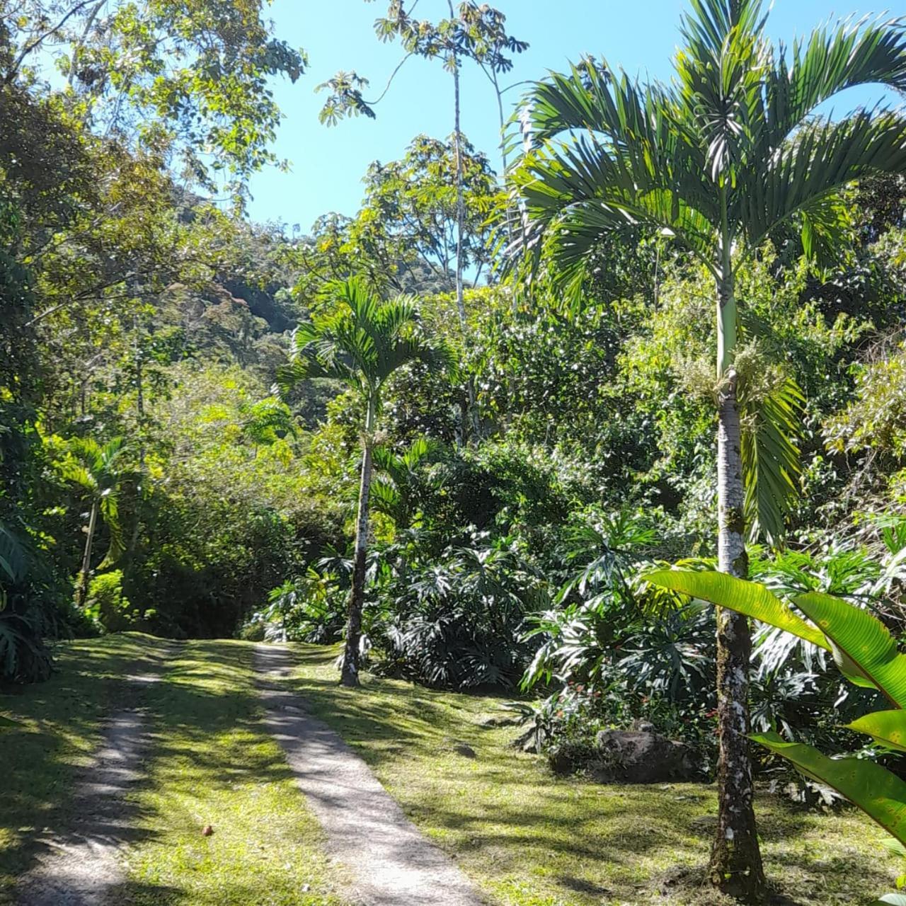 Corredores Del Pacuare La Suiza Экстерьер фото