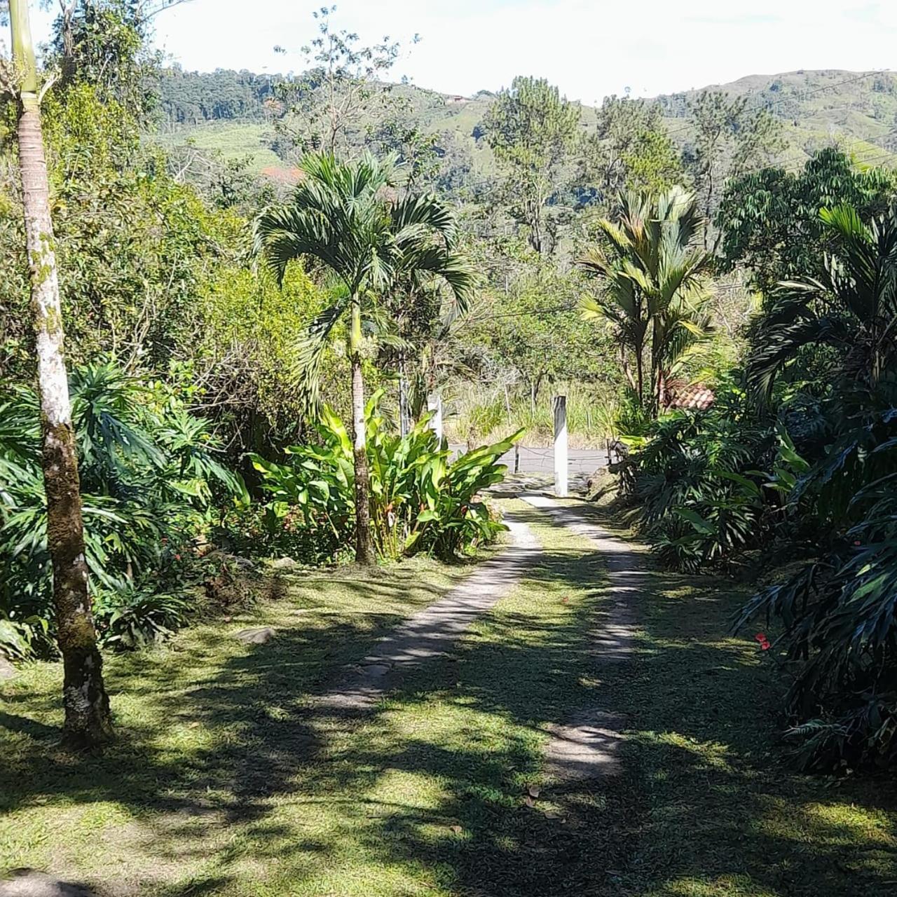 Corredores Del Pacuare La Suiza Экстерьер фото