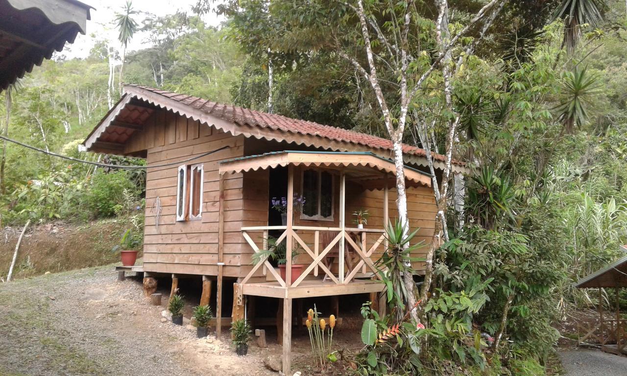 Corredores Del Pacuare La Suiza Экстерьер фото
