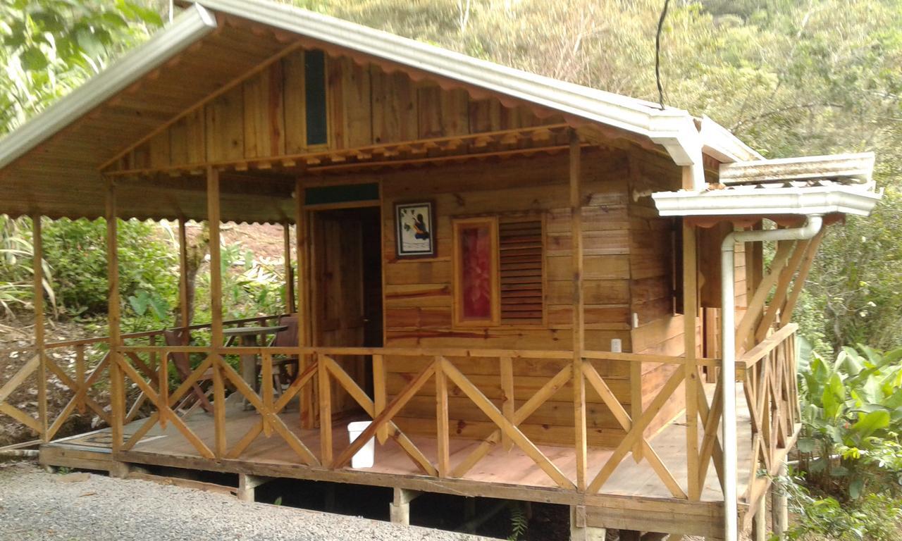 Corredores Del Pacuare La Suiza Экстерьер фото